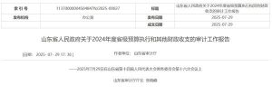 山东通报审计工作报告：两市向505名死亡人员发放养老保险-uusu优素-乐高,模型,3d打印,编程