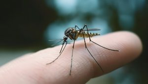 地方新闻精选 | 佛山终止基孔肯雅热三级响应 “雷公”向人贩子索赔6元案宣判-uusu优素-乐高,模型,3d打印,编程