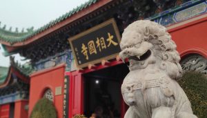 地方新闻精选 | 开封大相国寺否认“僧人受伤被赶出寺庙” 东北虎“完达山一号”再次现身-uusu优素-乐高,模型,3d打印,编程