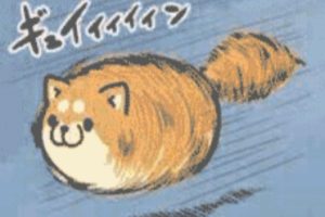 小姐姐亲亲~！滚！ 动图 摄影师你是懂我们想看什么的-uusu优素-乐高,模型,3d打印,编程