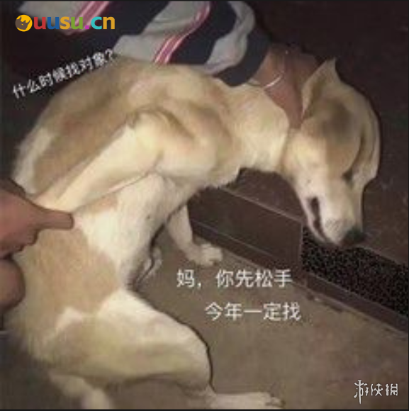 游侠网6