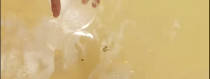 游侠网4