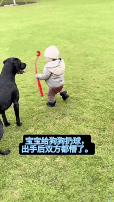 游侠网5