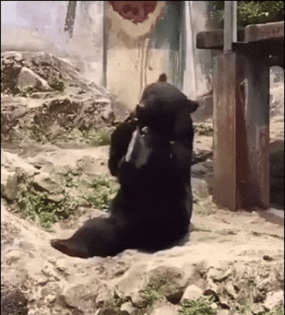 游侠网10