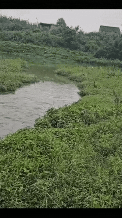 游侠网20