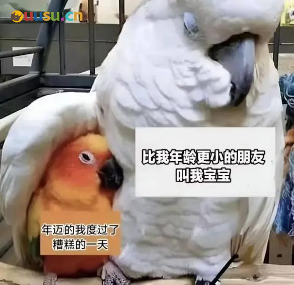 游侠网9