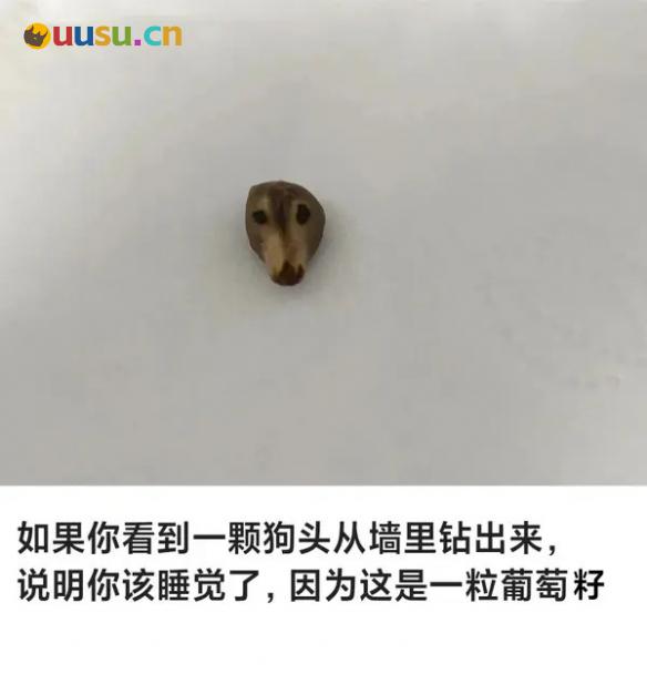 游侠网15