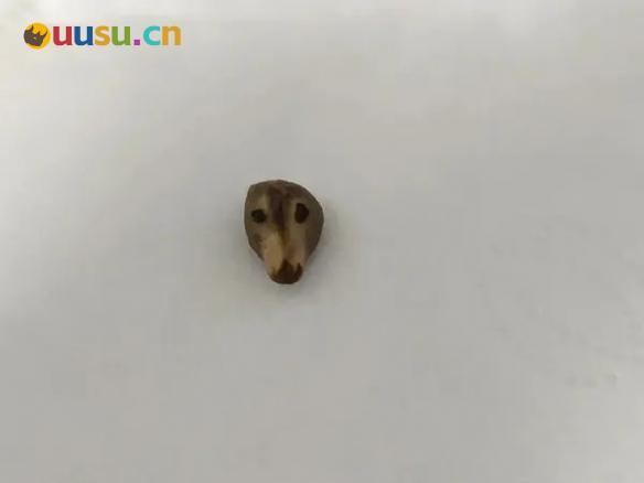 游侠网16