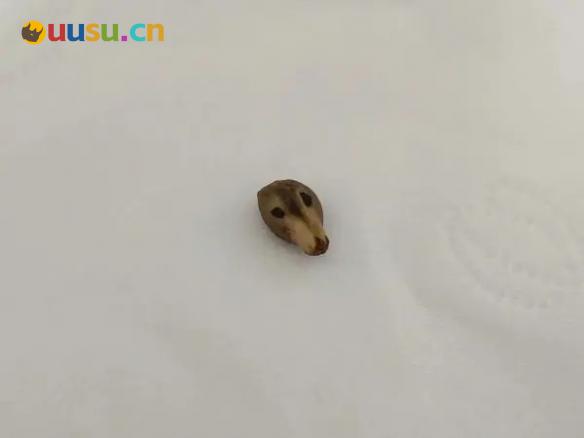 游侠网17