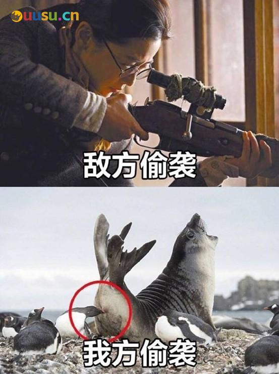 游侠网6