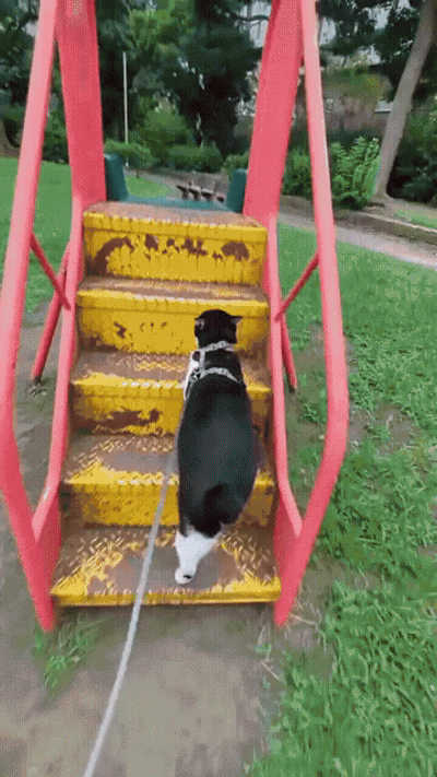 游侠网6