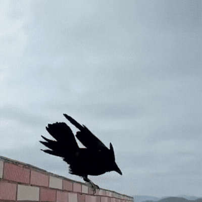 游侠网8