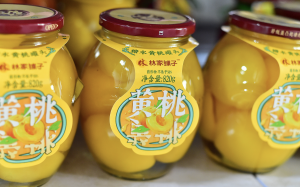 食品标签一目了然，预包装食品数字标签公告发布-uusu优素-乐高,模型,3d打印,编程