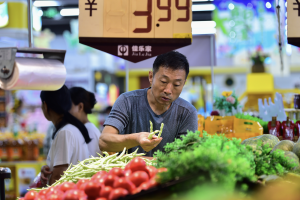 食品价格降幅显著扩大，8月CPI同比下降0.4%-uusu优素-乐高,模型,3d打印,编程