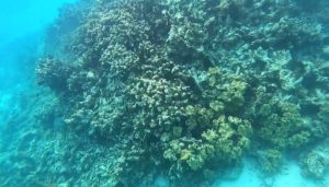 外交部：黄岩岛是中国固有领土，中方不接受菲律宾所谓“抗议”-uusu优素-乐高,模型,3d打印,编程