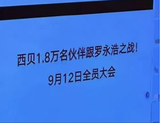 图片[2]-西贝预制菜争议升级！客流断崖式减少日损二三百万，2026年IPO计划蒙上阴影-uusu优素-乐高,模型,3d打印,编程