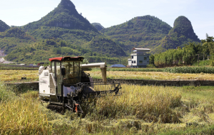 农业农村部：我国人均粮食占有量达到500公斤，粮食安全有保障-uusu优素-乐高,模型,3d打印,编程