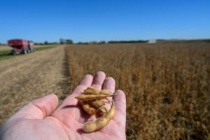 彻底丢掉最大出口市场,美国豆农被关税推向绝境-uusu优素-乐高,模型,3d打印,编程