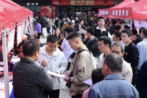 “十四五”期间城镇调查失业率前四年均值为5.3%，低于预期控制目标-uusu优素-乐高,模型,3d打印,编程