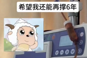 别棒了，你不是孩子，只是一个蠢货-uusu优素-乐高,模型,3d打印,编程