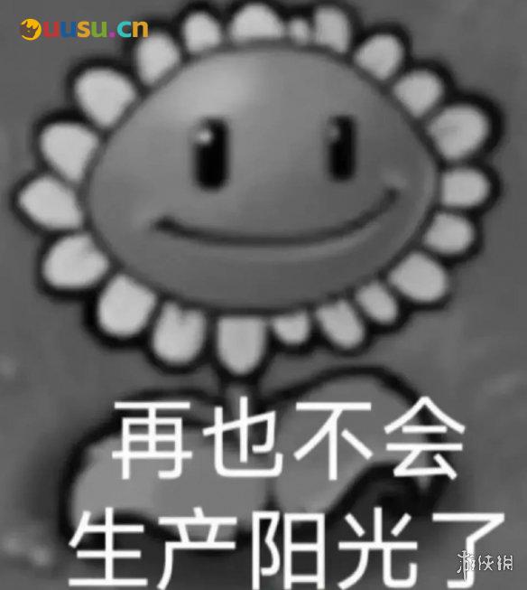 游侠网19