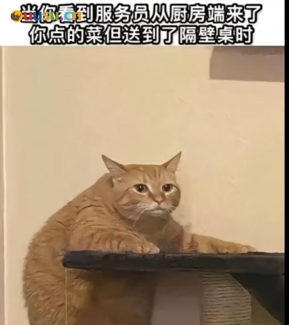 游侠网7