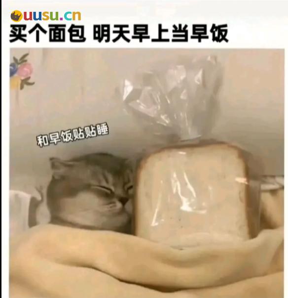 游侠网19
