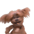 游侠网8