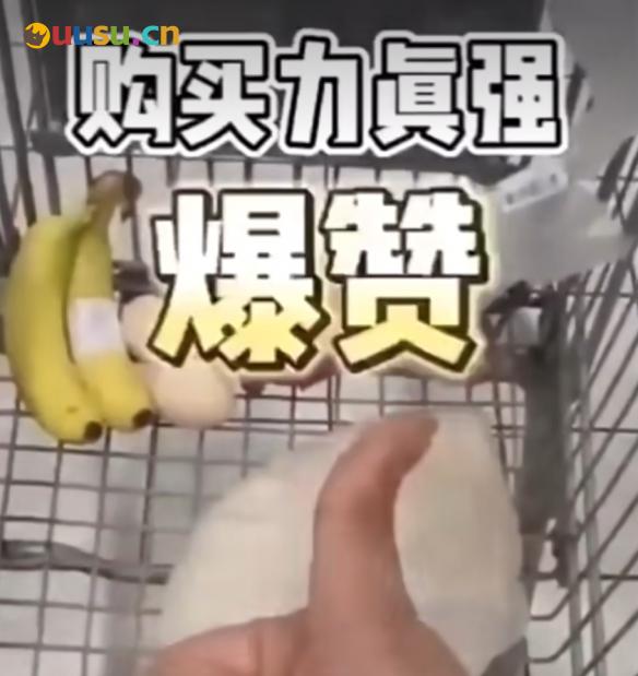 游侠网5