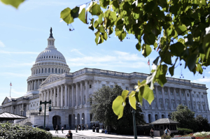 美参议院未通过临时预算案，联邦政府“停摆”危机持续-uusu优素-乐高,模型,3d打印,编程