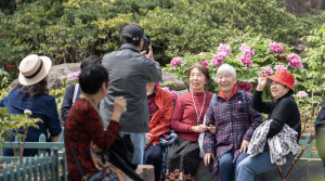 11.6亿元!第一批养老服务消费补贴补助资金已经下达-uusu优素-乐高,模型,3d打印,编程