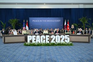 中东问题专家法撒赫：中企适合抓住加沙重建机会-uusu优素-乐高,模型,3d打印,编程