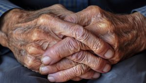 地方新闻精选 | 江苏省去年百岁老人达8811人 四川省教育厅打假7所院校网站-uusu优素-乐高,模型,3d打印,编程