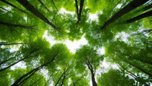 生态环境法典污染防治编草案二审稿：加强机动车船排放检验造假监管-uusu优素-乐高,模型,3d打印,编程