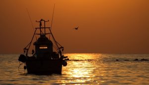 辽宁一渔船倾覆造成10人失联，国务院安委会对事故查处挂牌督办-uusu优素-乐高,模型,3d打印,编程