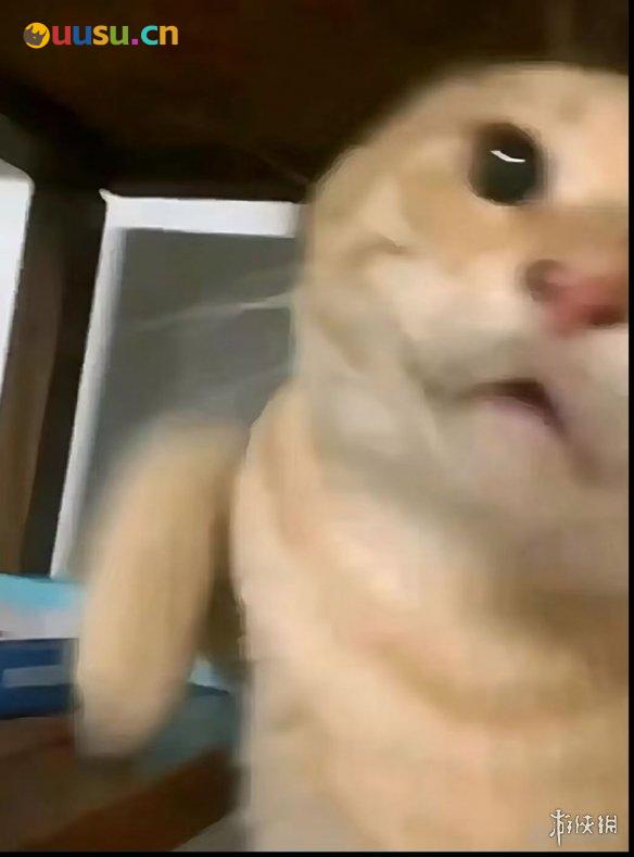 游侠网12