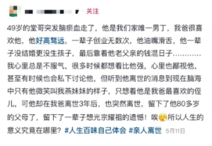 我的堂哥也叫于勒-uusu优素-乐高,模型,3d打印,编程