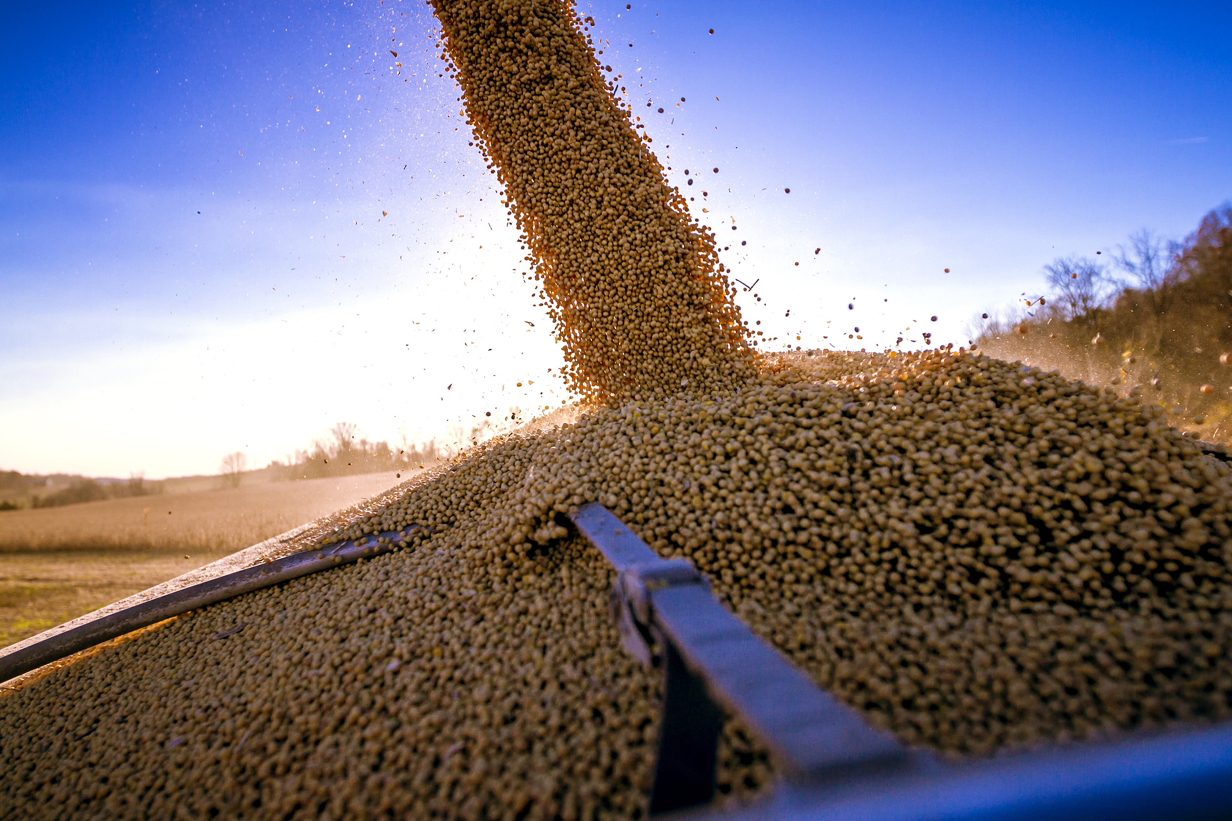 中国在本收获季首次从美国购买大豆？美国豆农急盼订单-uusu优素-乐高,模型,3d打印,编程