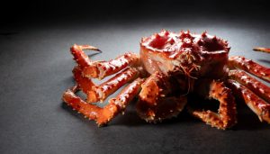 南京大学后勤通报食堂供应“999元帝王蟹”：餐饮企业已对菜式进行调整-uusu优素-乐高,模型,3d打印,编程