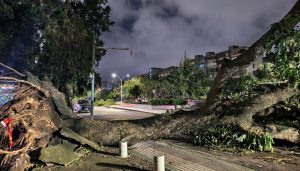 直通部委｜10月自然灾害致735.85万人次受灾 中央安全生产考核巡查正式启动-uusu优素-乐高,模型,3d打印,编程