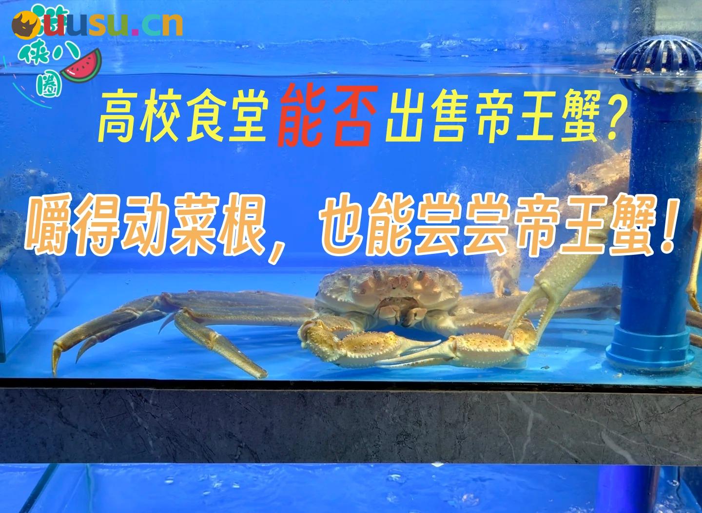高校出售帝王蟹引争议?别对他人的钱包有过多掌控欲-uusu优素-乐高,模型,3d打印,编程