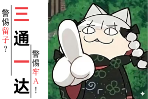 留学生自证陷阱?理性看待牢A发言！-uusu优素-乐高,模型,3d打印,编程