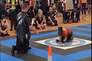 不做人了？欧洲“犬类自我认同”现象冲击认知底线-uusu优素-乐高,模型,3d打印,编程