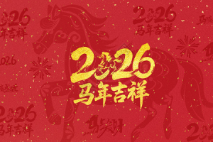 成立15年,只为今朝?春晚迎来最严厉的父亲-uusu优素-乐高,模型,3d打印,编程