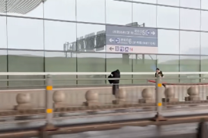 百万点赞母爱视频竟然是“剧本”，魔丸父母该怎么招架？-uusu优素-乐高,模型,3d打印,编程