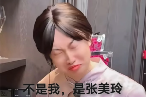 全网唯一“讨厌”女配角,爆火的紫薯精到底凭什么?-uusu优素-乐高,模型,3d打印,编程