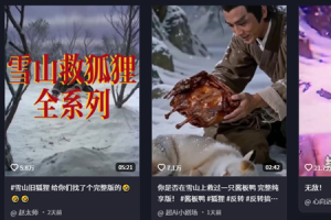 救狐狸，送烤鸭？AI二创把雪山救狐玩成了狼人杀-uusu优素-乐高,模型,3d打印,编程